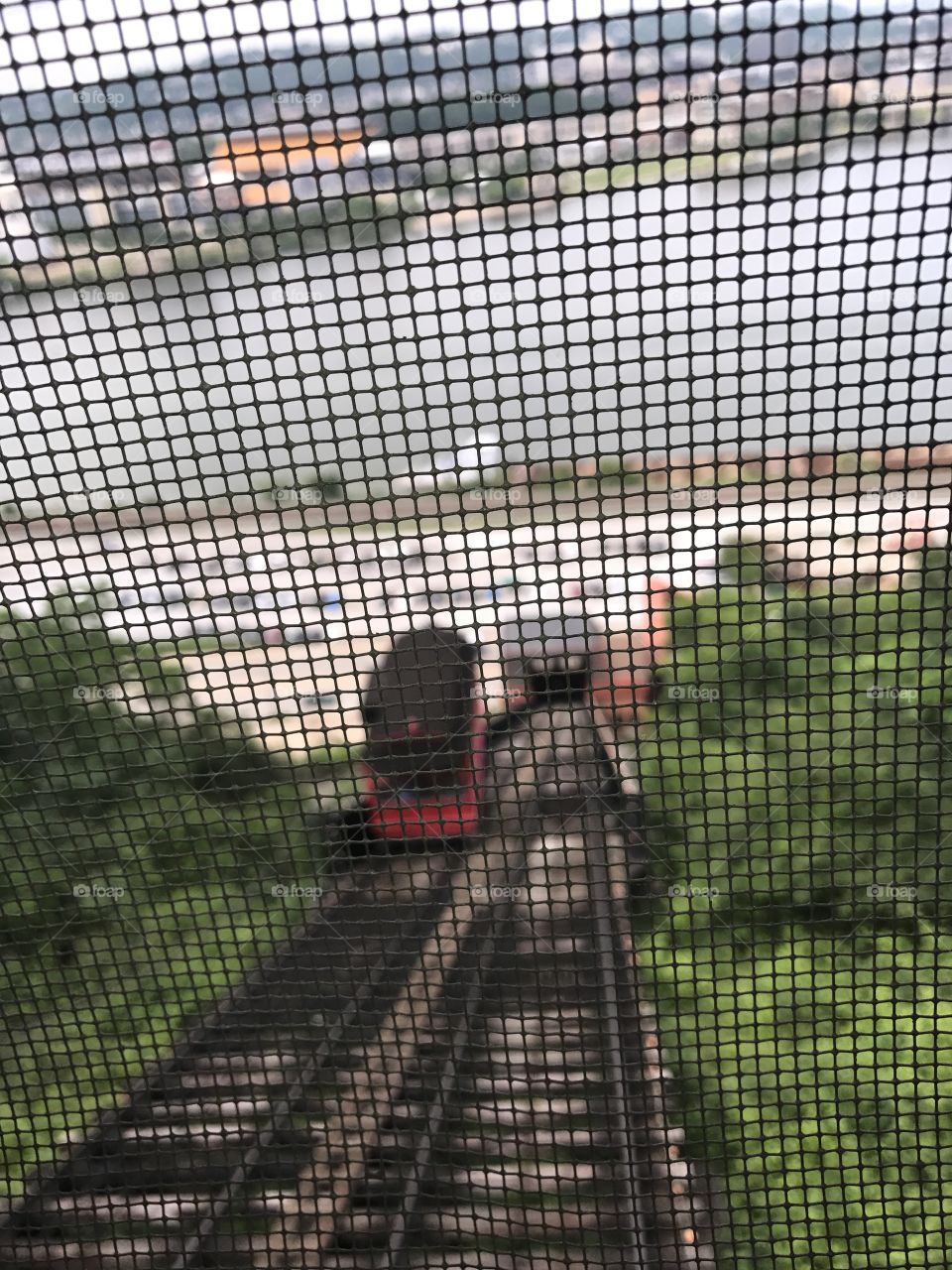 No Person, Web, Outdoors, Pattern, Desktop