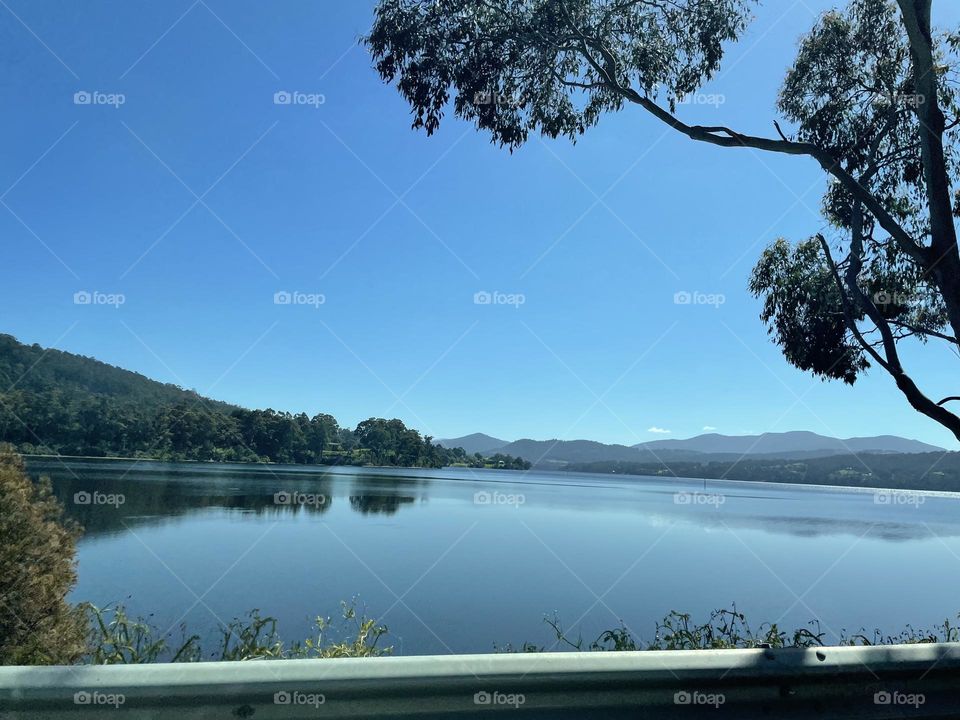 A reflection of trees in a still river