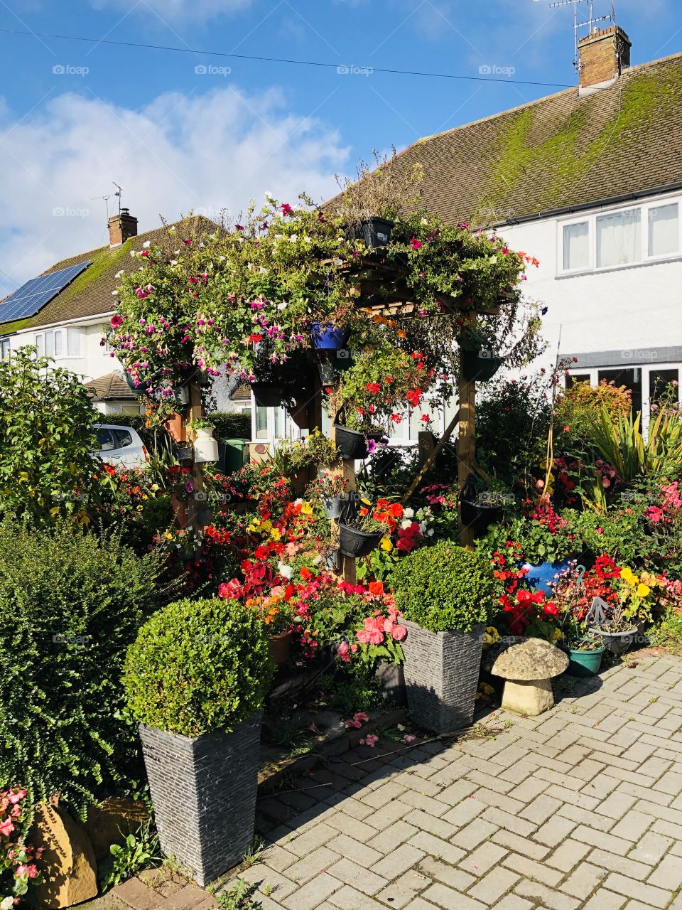 Beautiful Autumn garden 