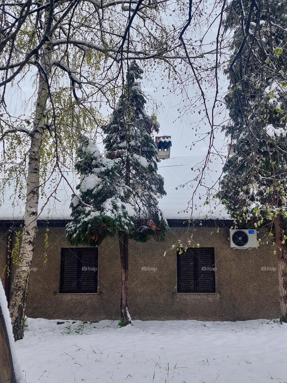 Winter idyll.  House and trees in the yard covered with snow