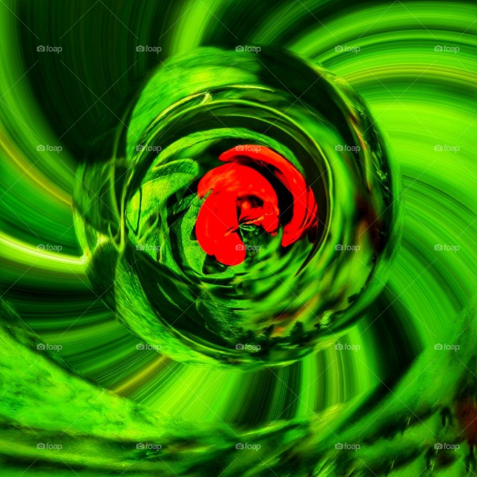 Contrast abstract colorful