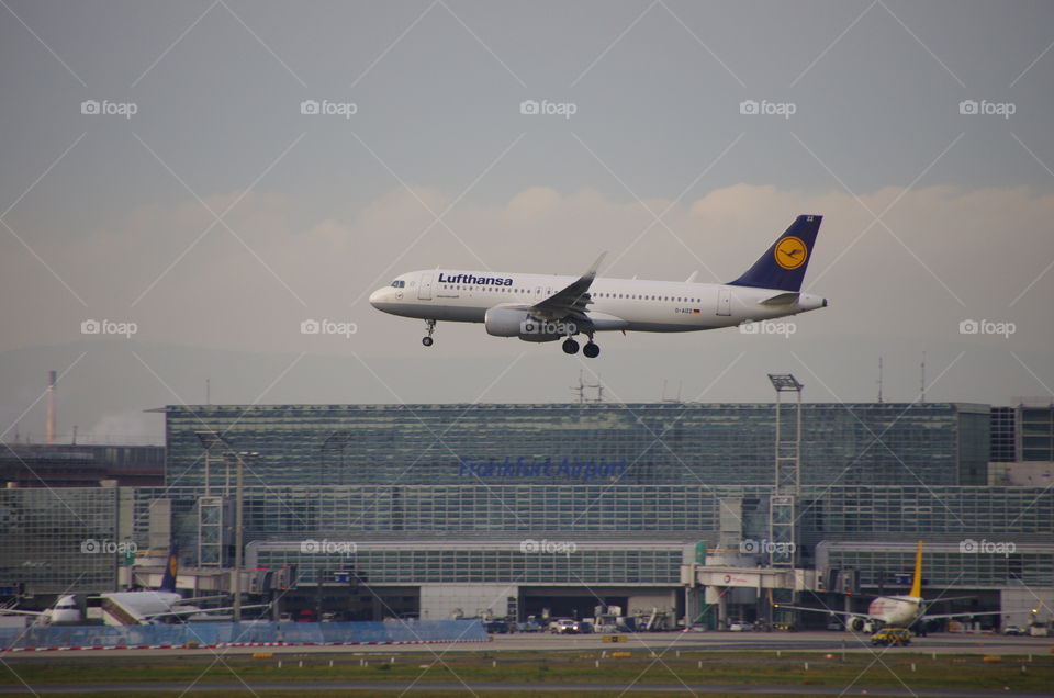 Lufthansa Airbus A320 landing in Frankfurt airport