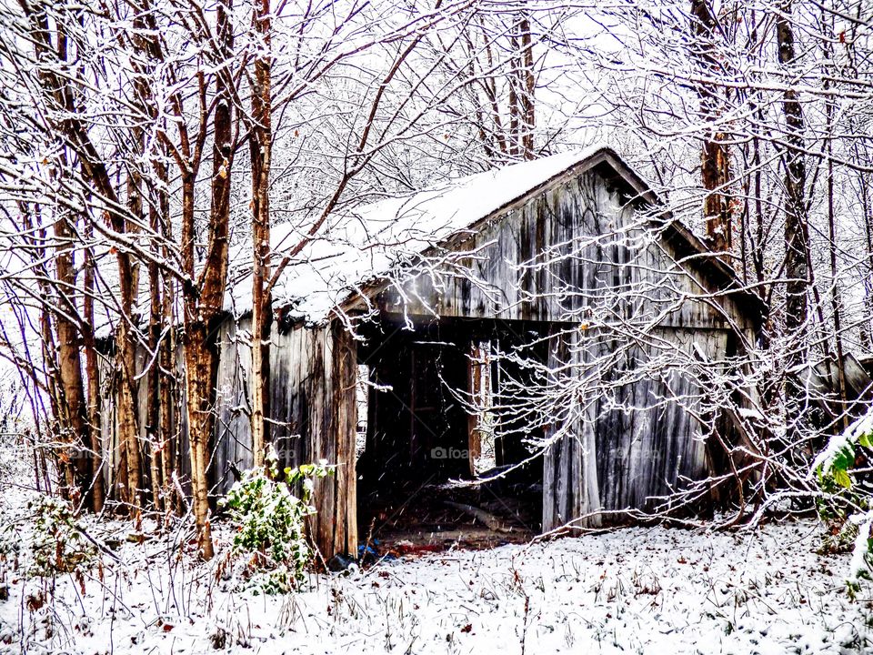 Old snowy barn