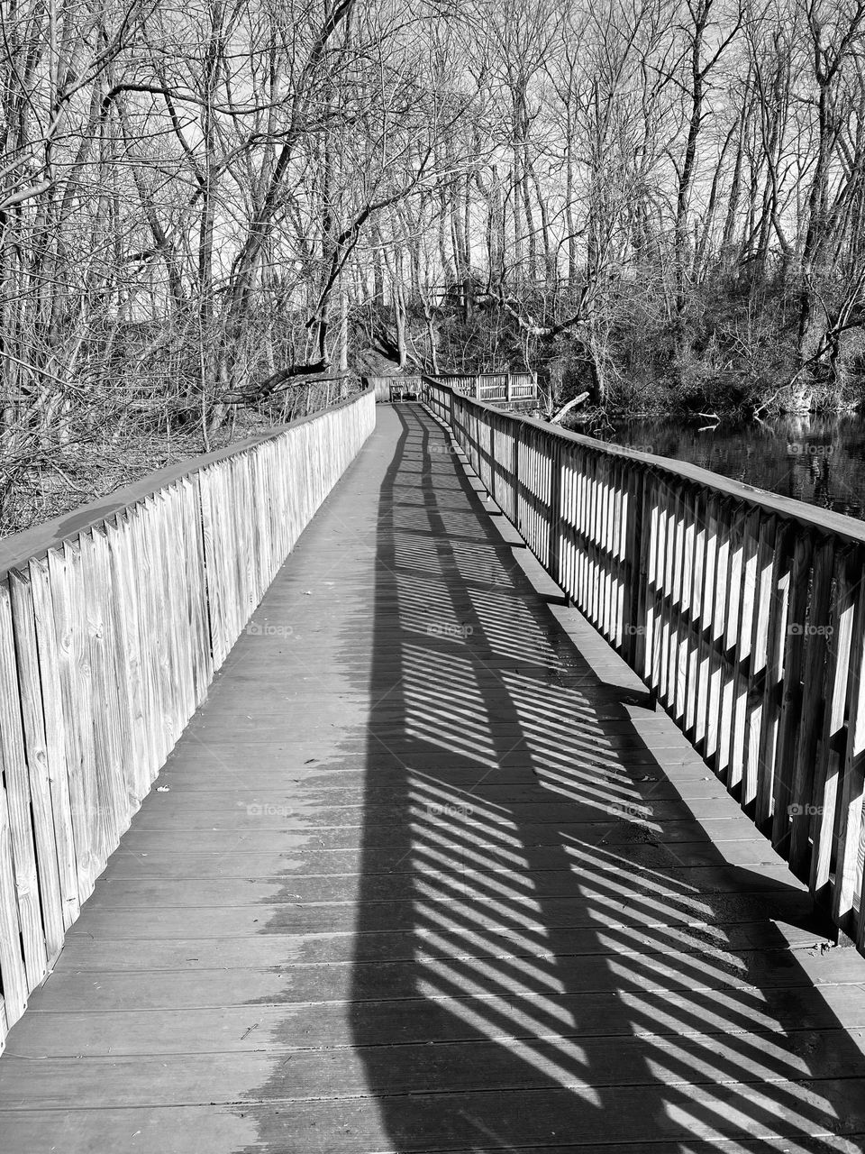 A boardwalk around the edge of a quarry lake at a local park