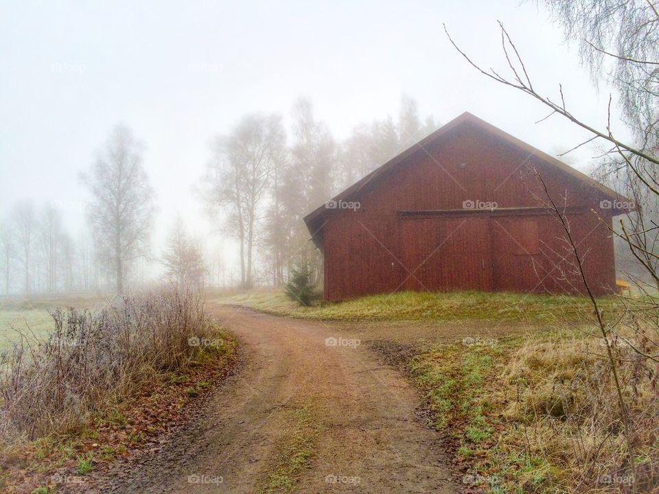 A foggy morning