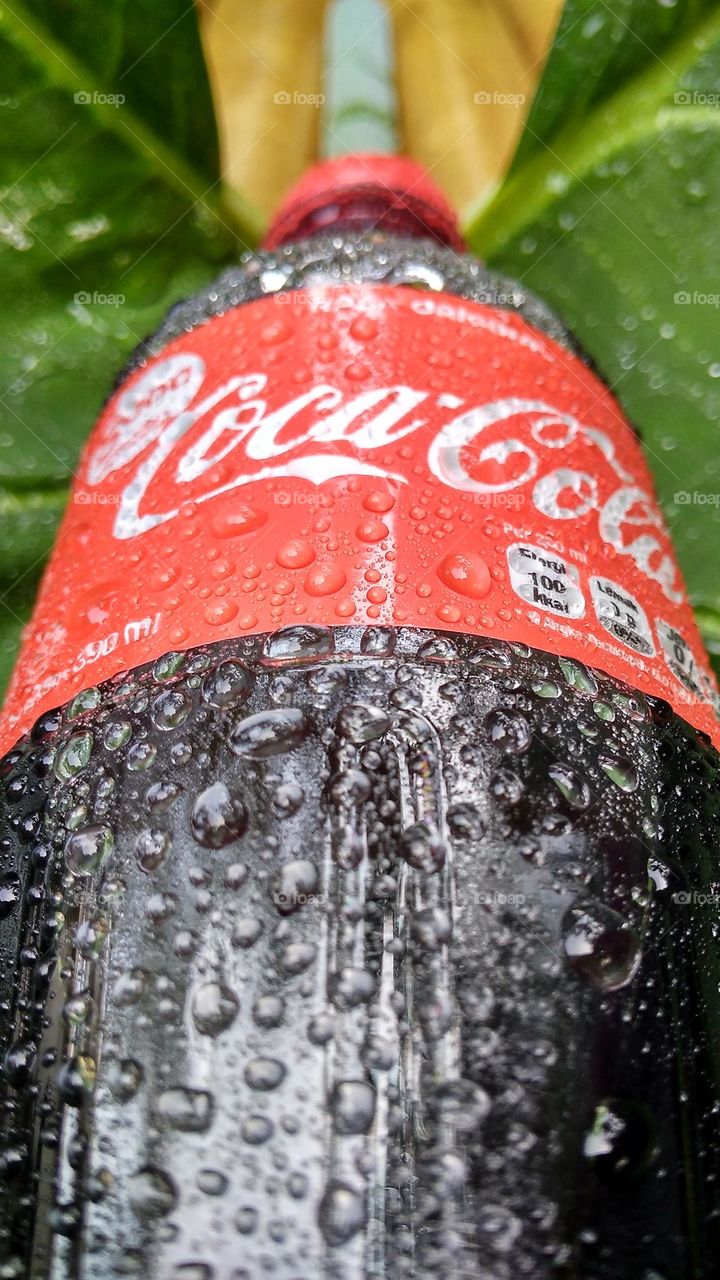 Coca-Cola
