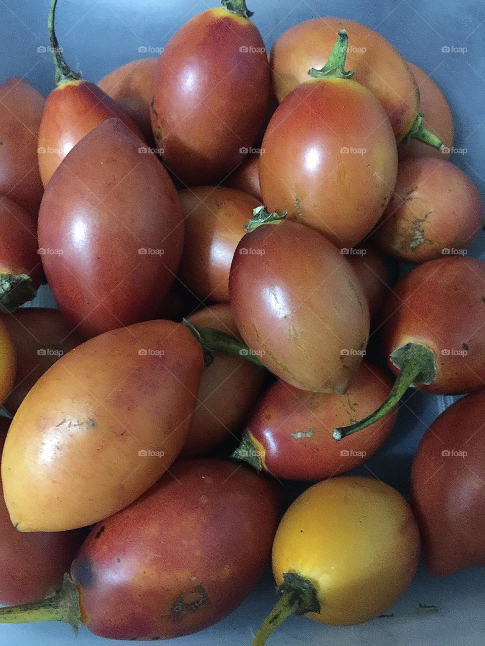 Tamarillo 