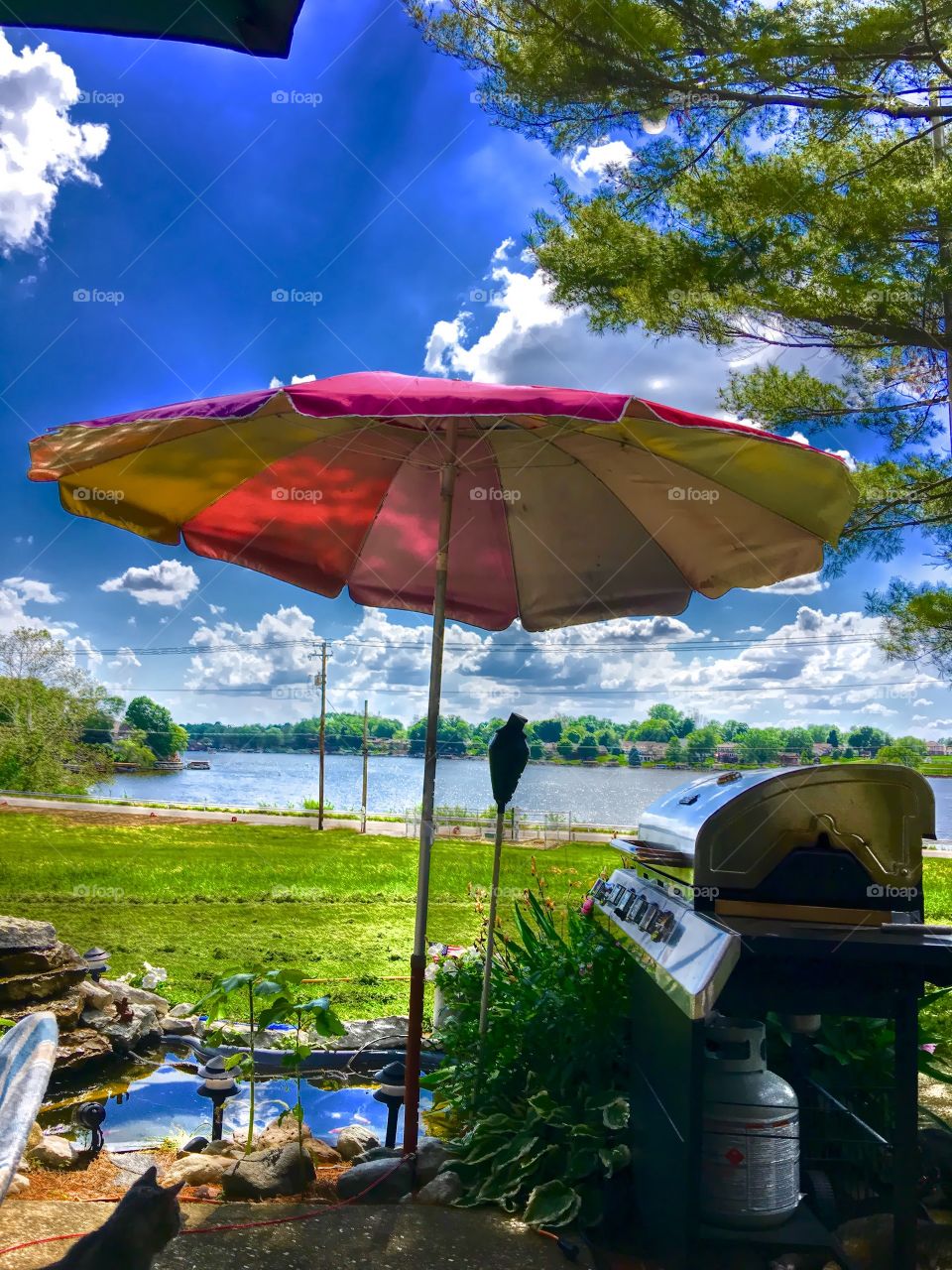 Summer relaxing view 