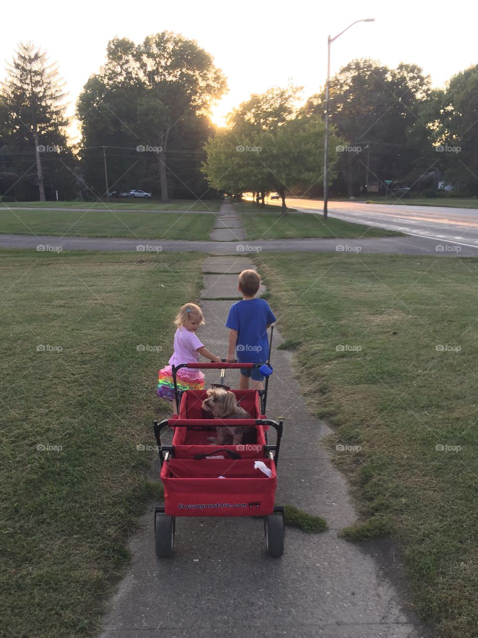 Family walk through the neighborhood in summer 