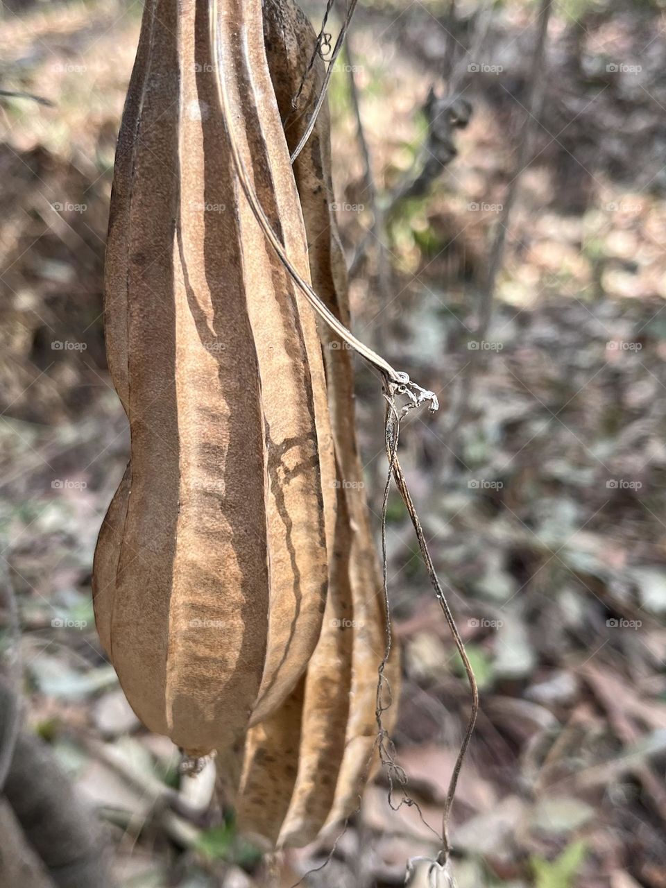 📷 Color Explosion 