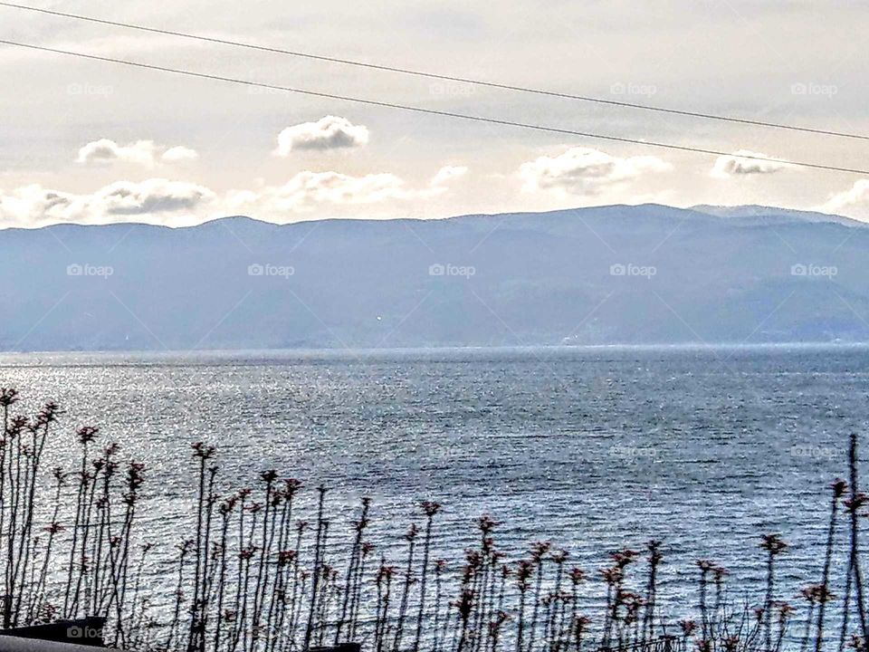 Beautiful plants, sea, mountain, clouds, sky, a simple and peaceful landscape. have a good mood.