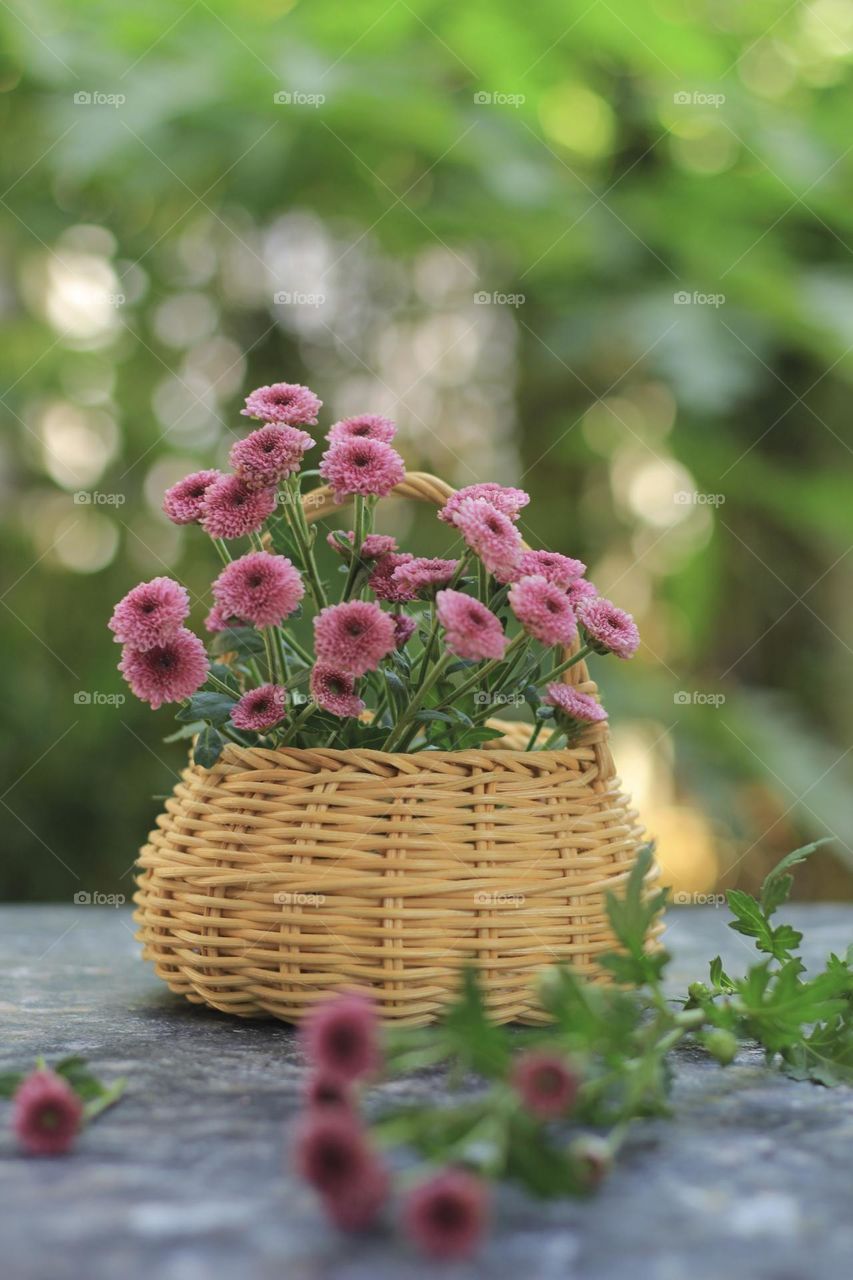 Flowers on basket