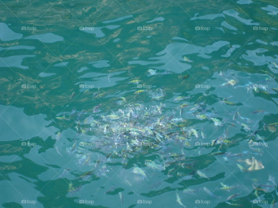 Thailand, Phi phi island