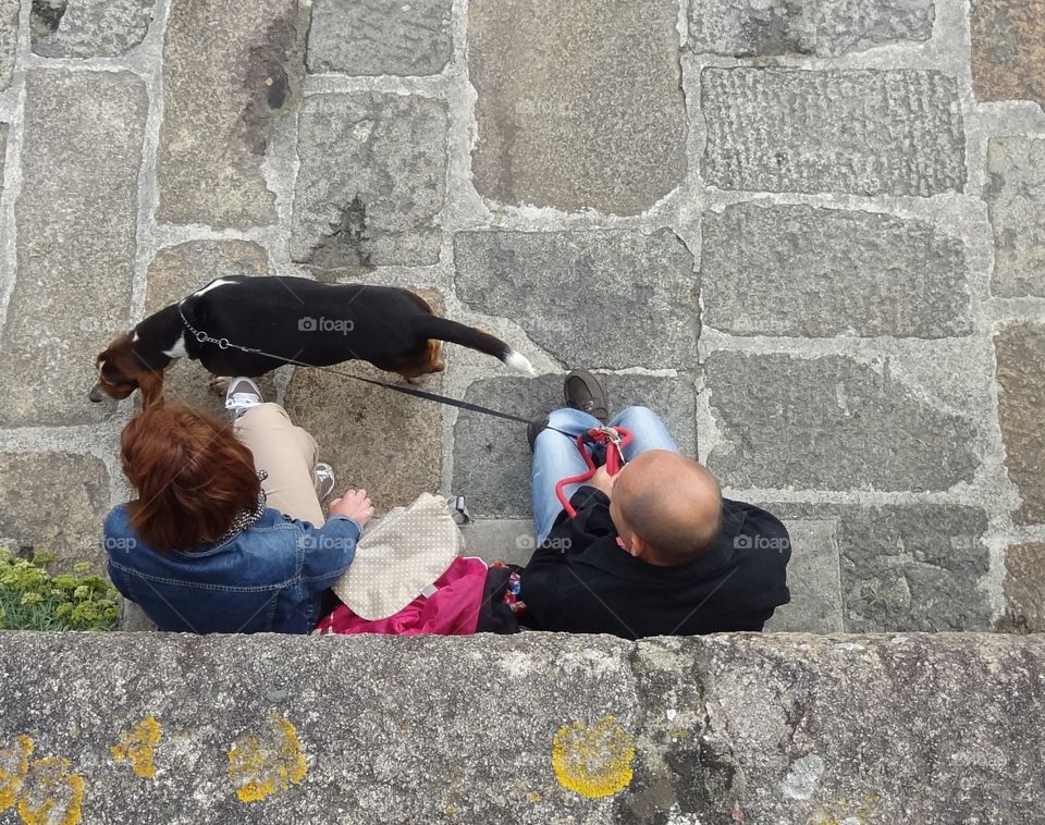 Relaxing with the Dog. Pleasant day out, although the dog did little walking