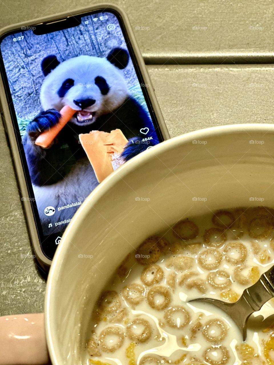 I am eating breakfast with a panda 🐼 