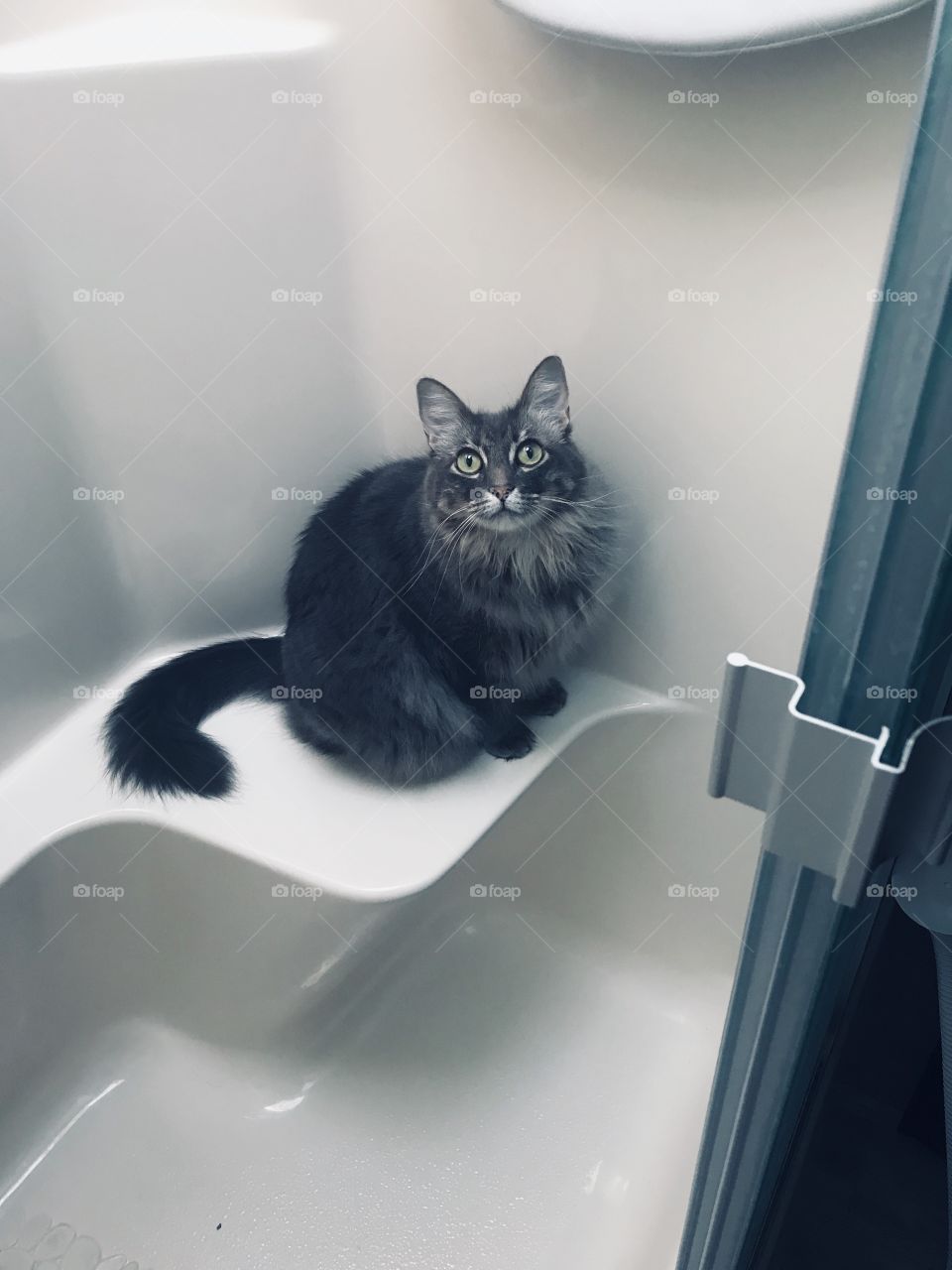 Hi I’m Graycee and I love showers only on warm days. I live in an RV so this is perfect for me. 