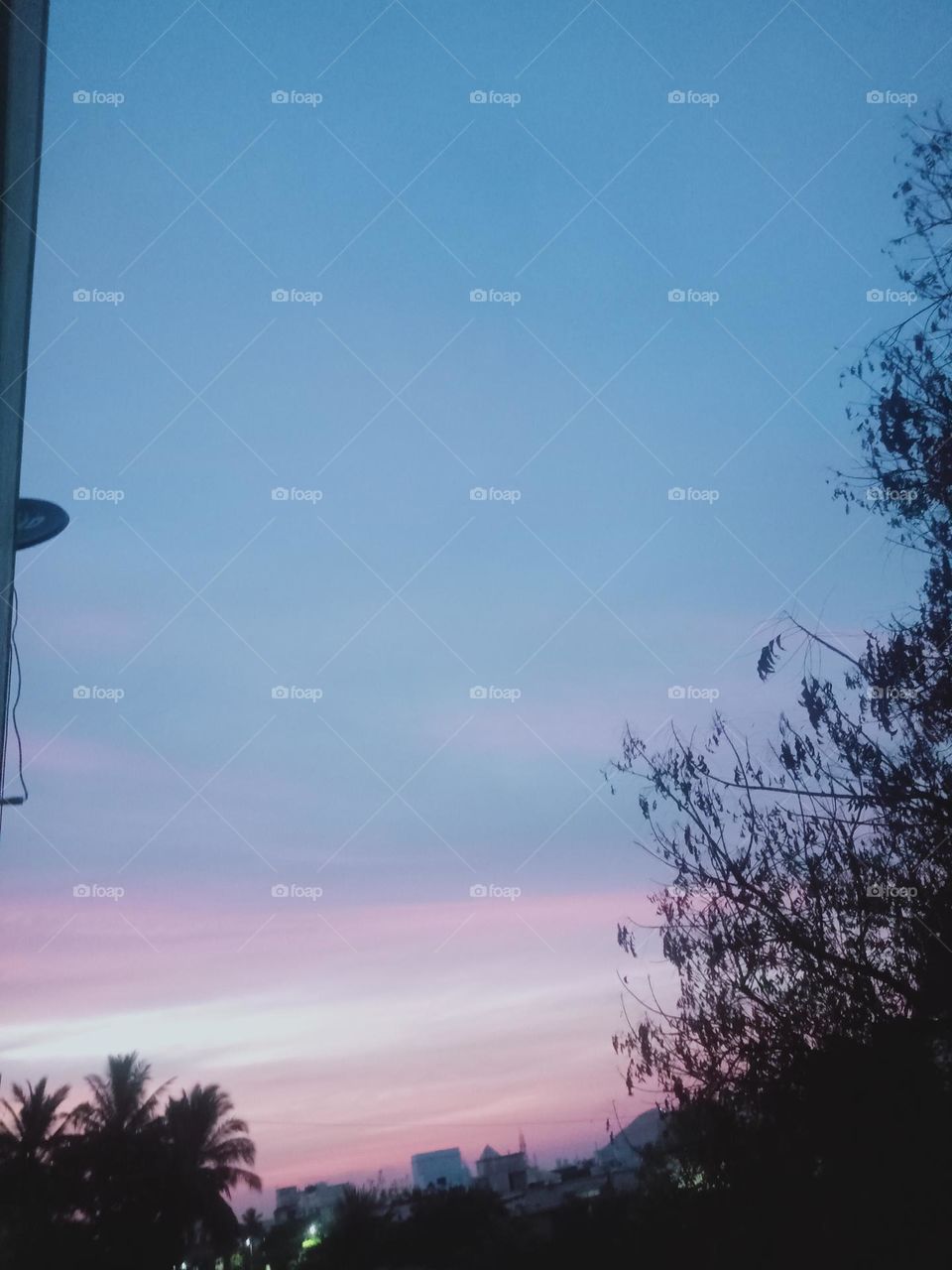 ravarma vanguvo  Blue Pink White, Multiple colours, Good evening