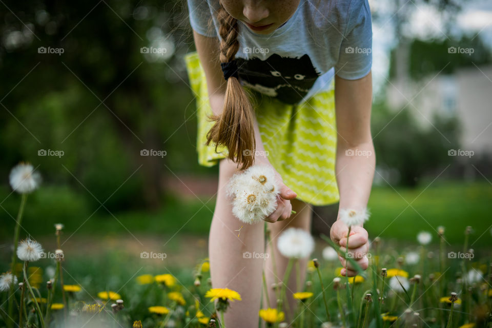 Dandelion spring bouquet