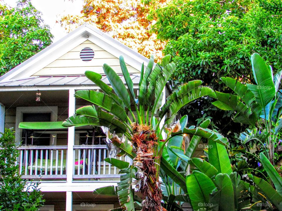 Intercity tropical retreat