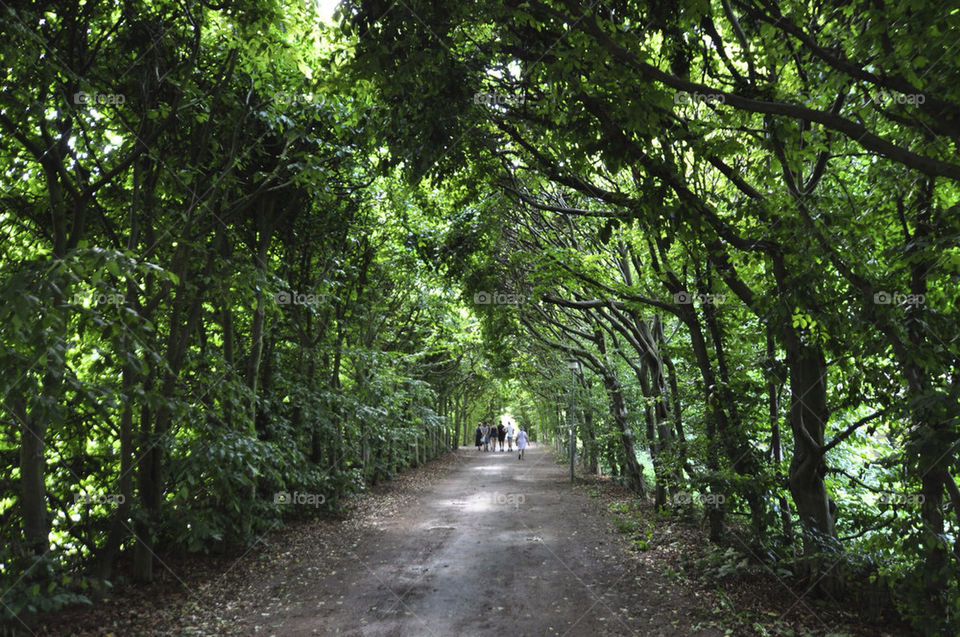 green people trees forest by hkjohan