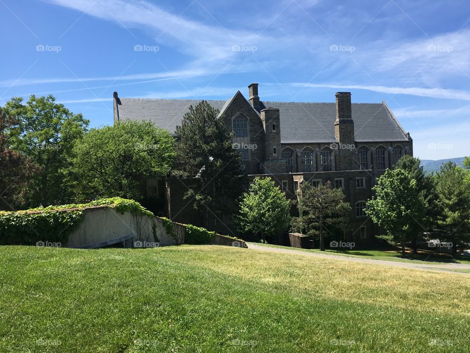 Cornell University 
Ithaca, NY