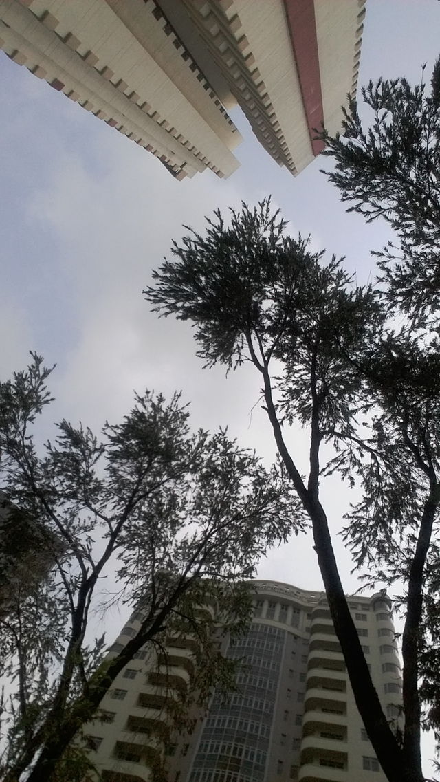 Sky