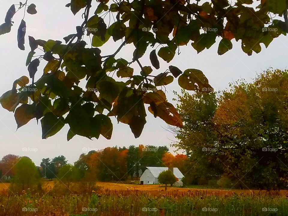 Countryside with barn.