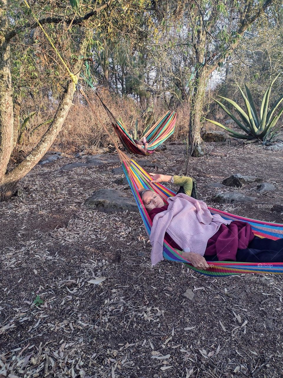 Resto g in a hamaca in the country side