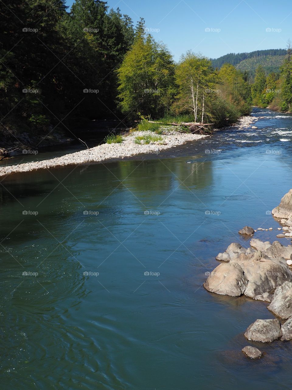 The rocky and rugged shores of the Middle Fork of the Willamette River near Oakridge Oregon filled with trees transitioning to their fall colors on a beautiful sunny day.