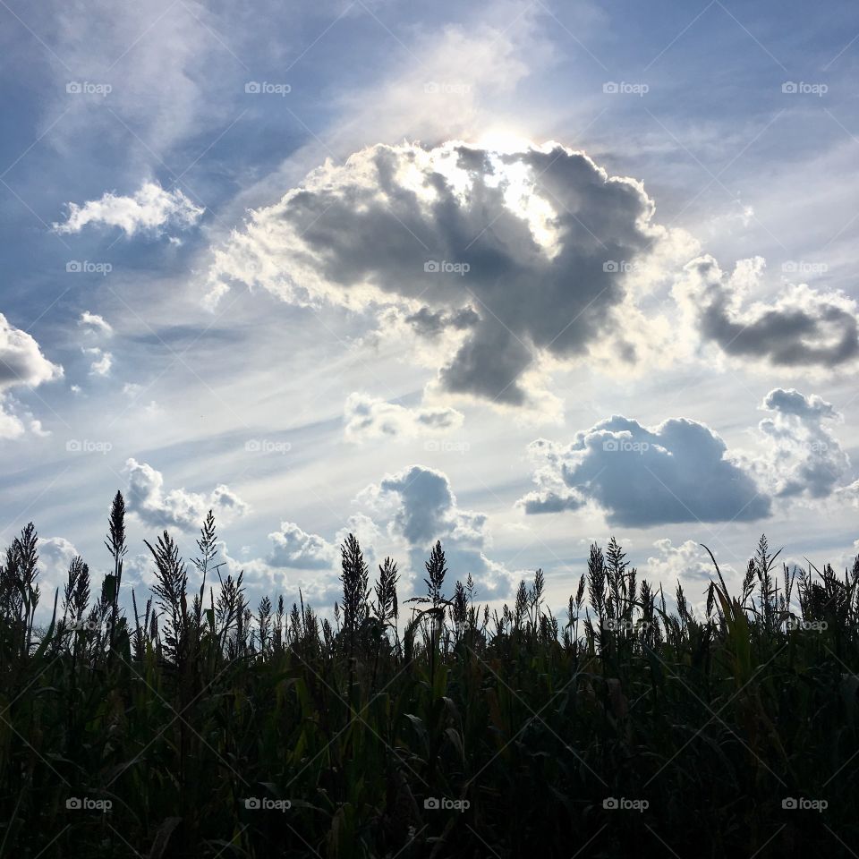 Floating on a cloud.