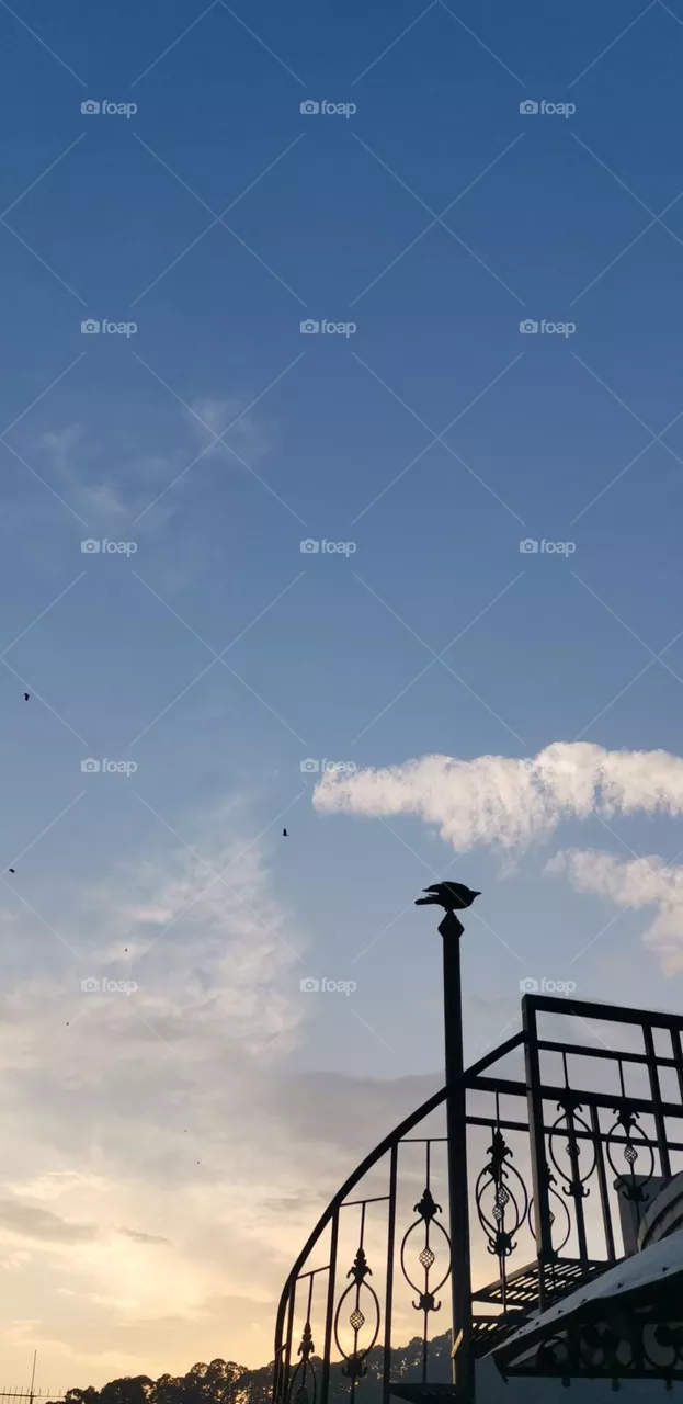 Sky