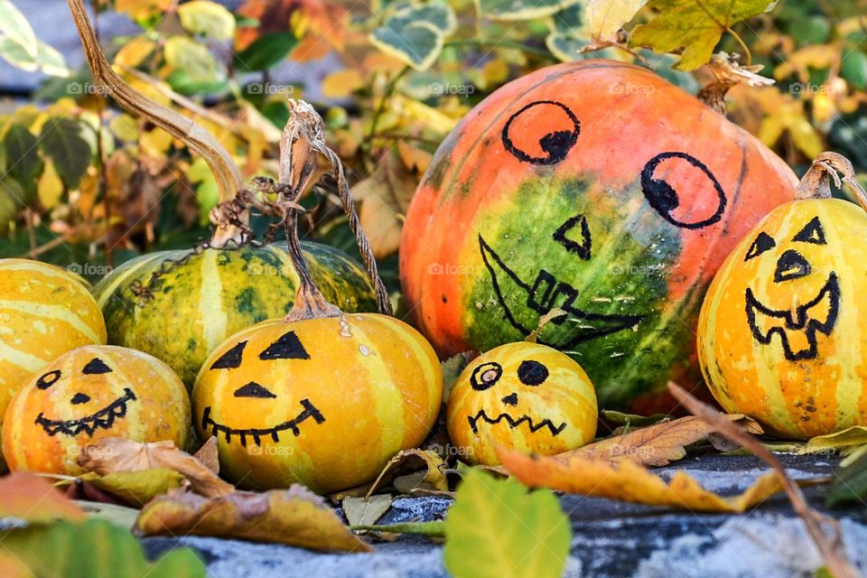 Autumn Mood, Pumpkins