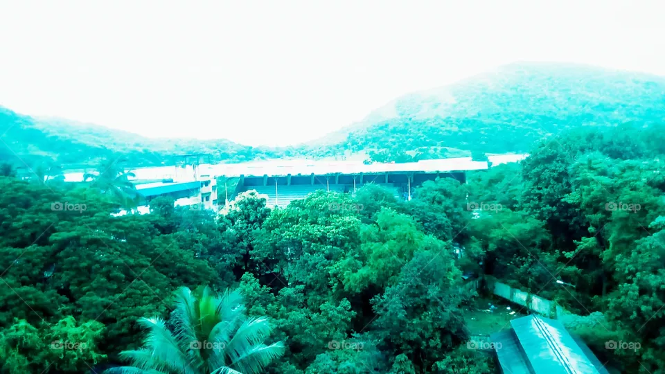Nature
