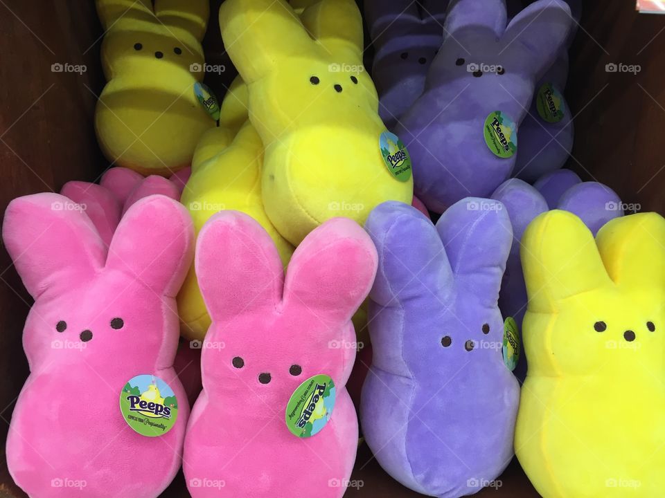 Colorful stuffed plush Peeps Bunny rabbits. 