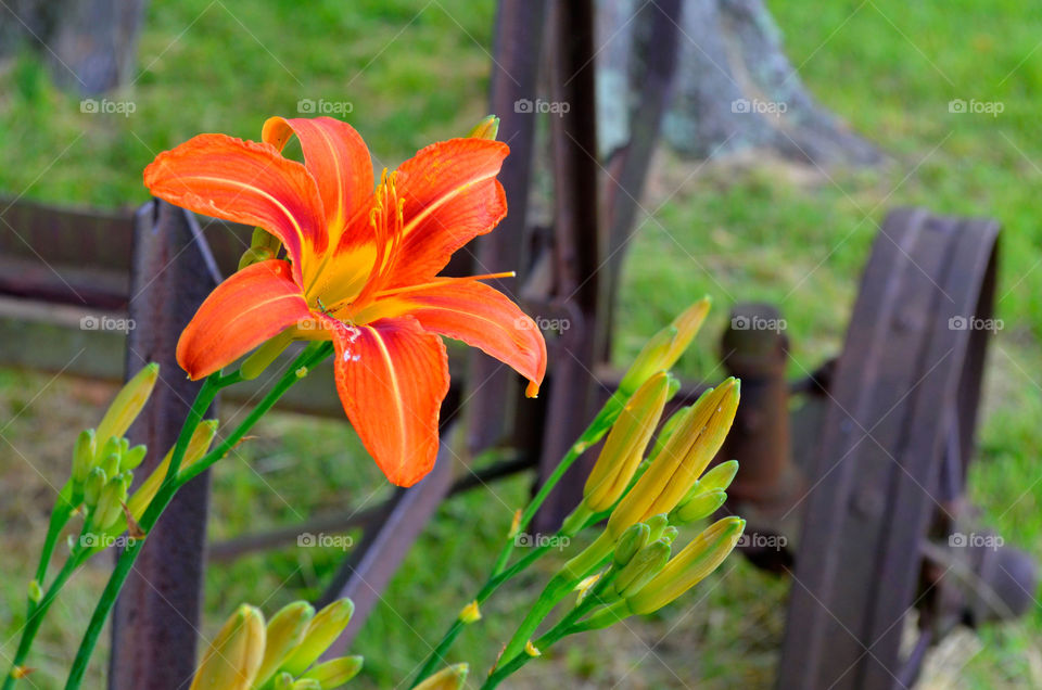 Take the Nostalgic Way Home ( Series )