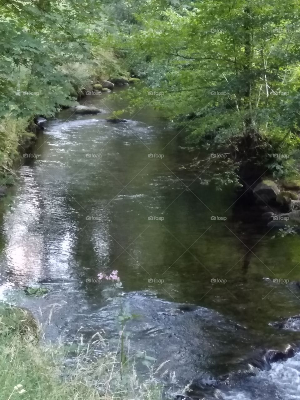 Kurpark in Bad Wildbad