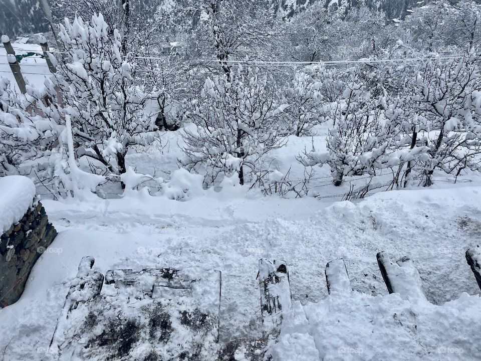 Snowful countryside 