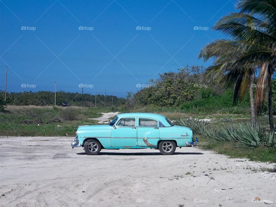 Beautiful blue in the sky and on the ground. Classic car at the beach near Varadero, Cuba. 