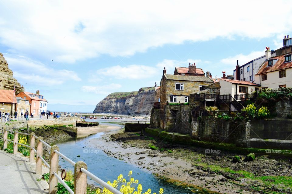 Seaside landscape