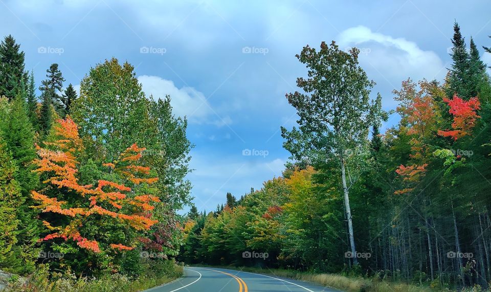 road in autumn