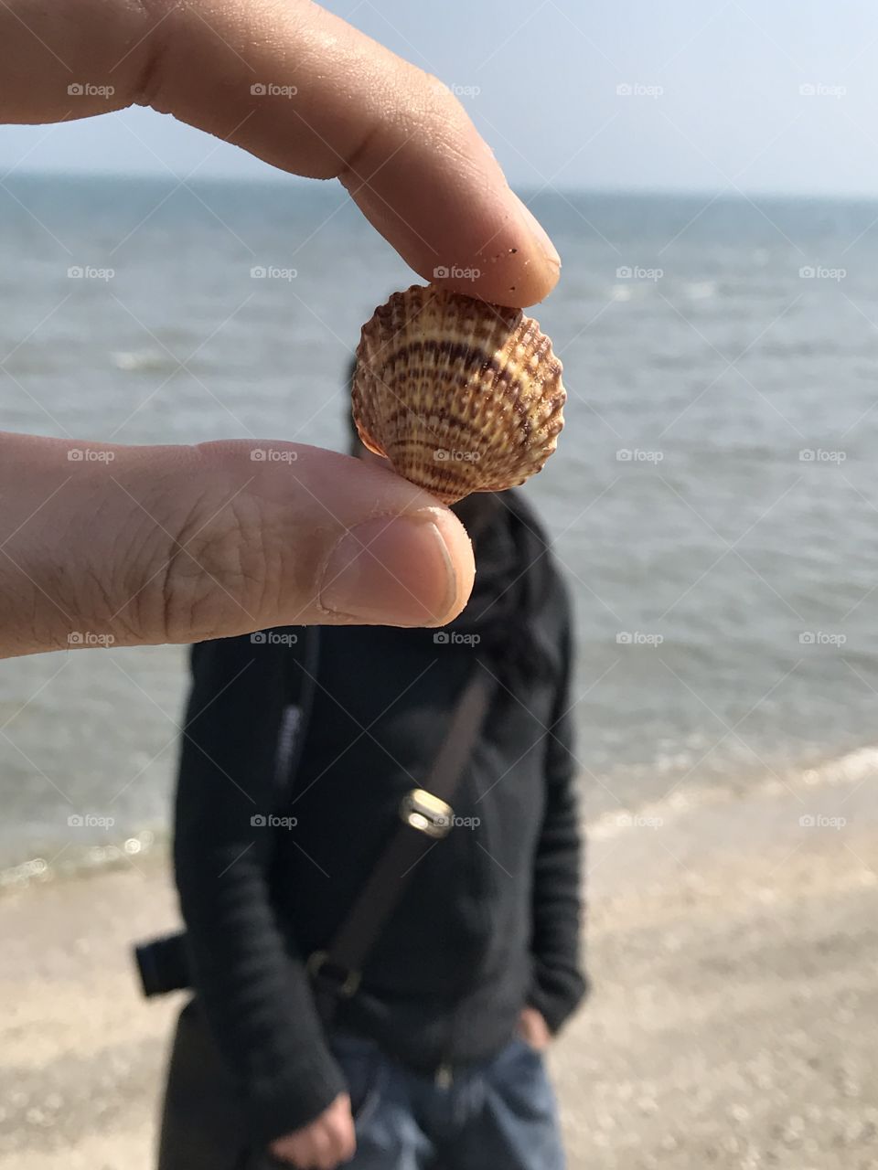 Shells 