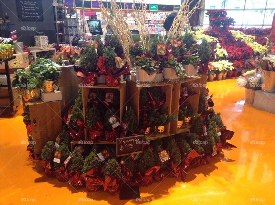 Christmas flower display