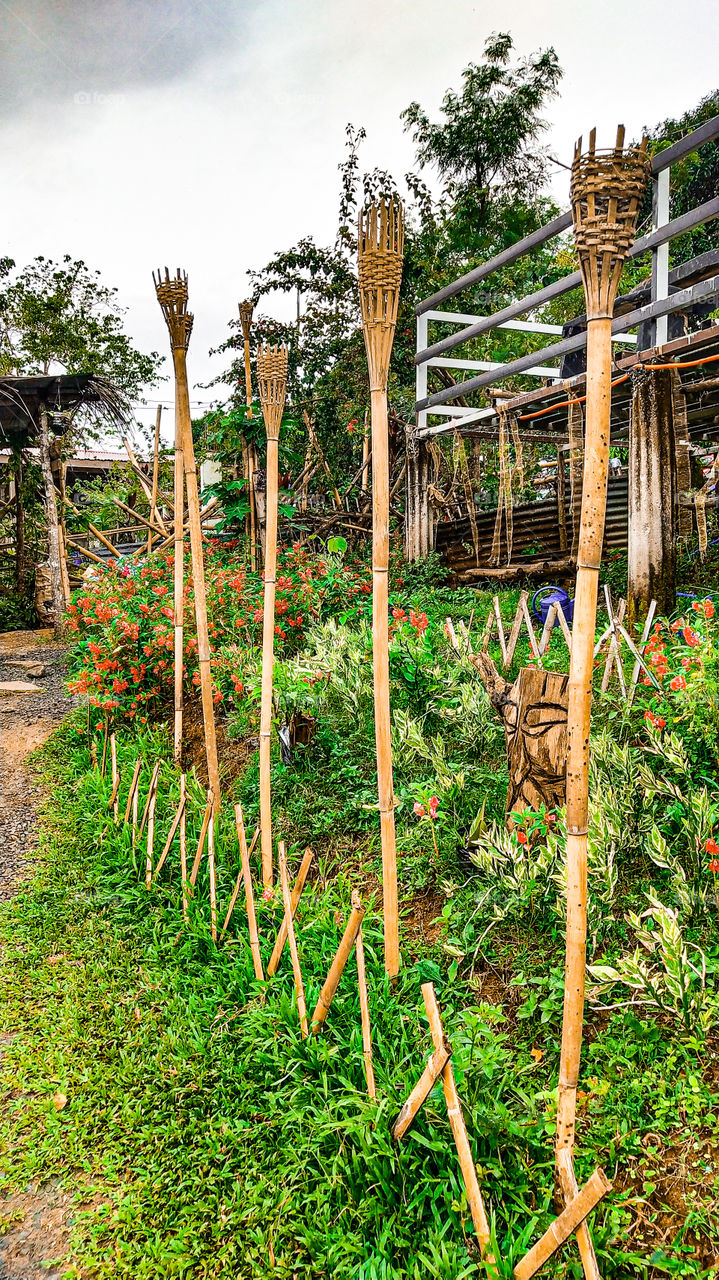 make your dreams come true