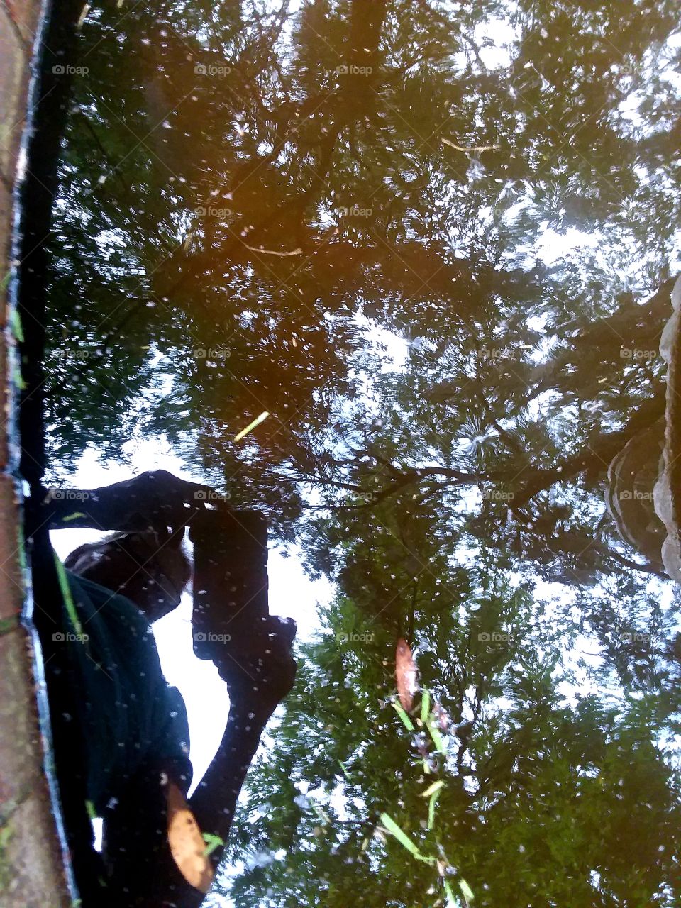 reflection in the fountain pool