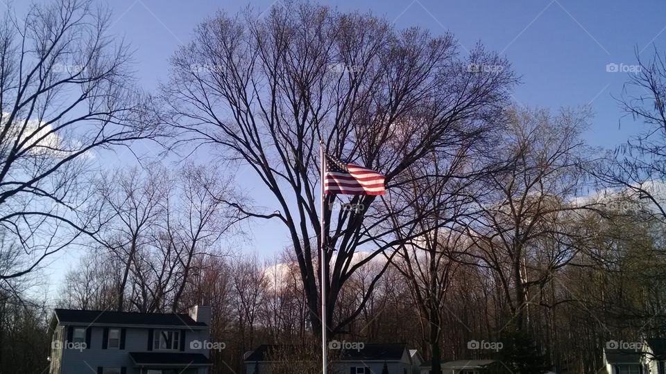 USA, Flag, Sun, trees, sky