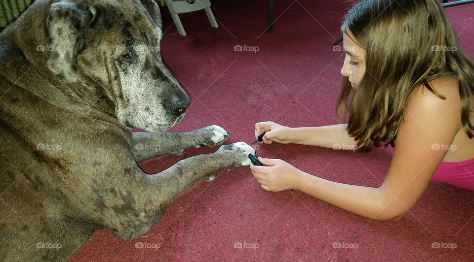 Girl applying nail varnish on dog's paw