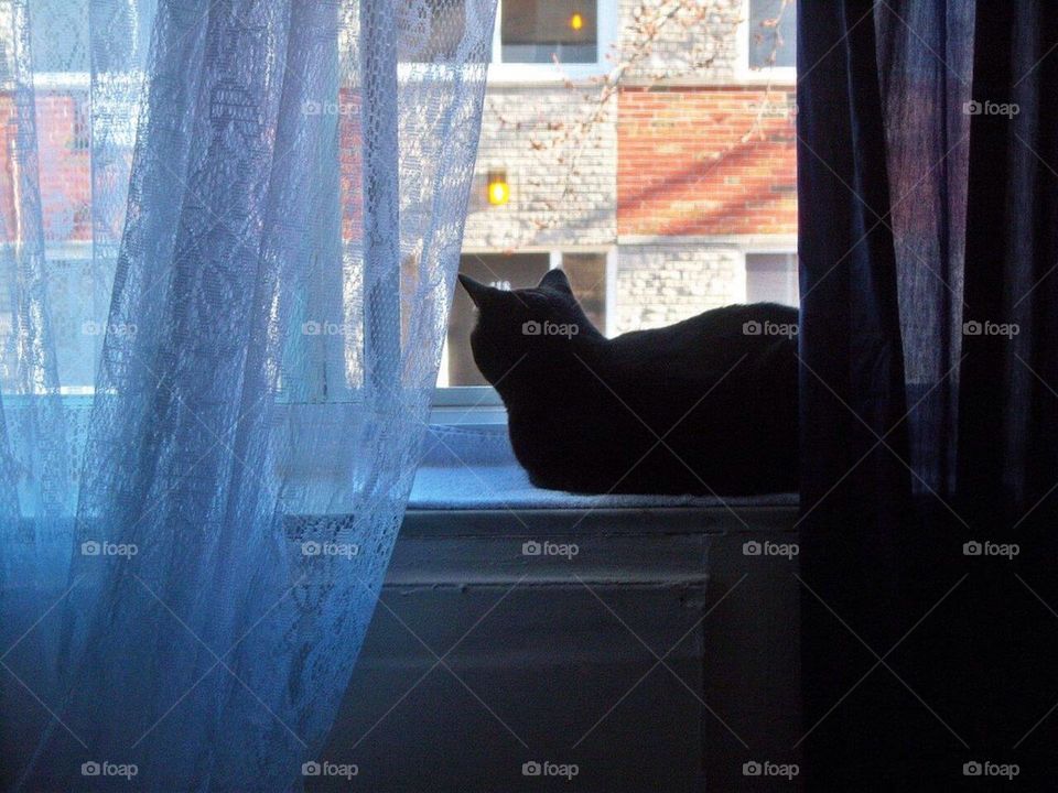 Wishful Thinking.....