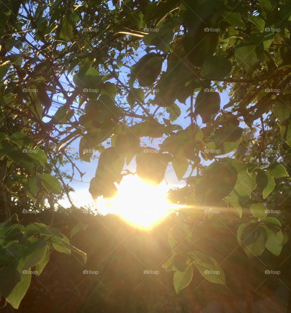 🌄🇺🇸 An extremely beautiful dawn in Jundiaí, interior of Brazil. Cheer the nature! / 🇧🇷 Um amanhecer extremamente bonito em Jundiaí, interior do Brasil. Viva a natureza! 