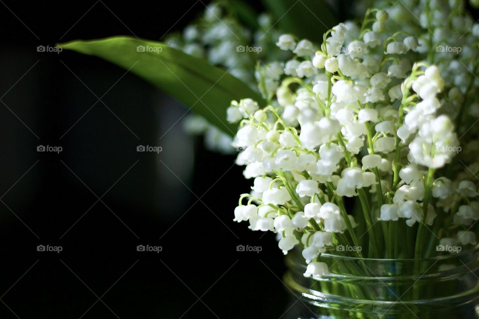 Isolated closeup of lily of the valley blossoms in a mason jar in sunlight
