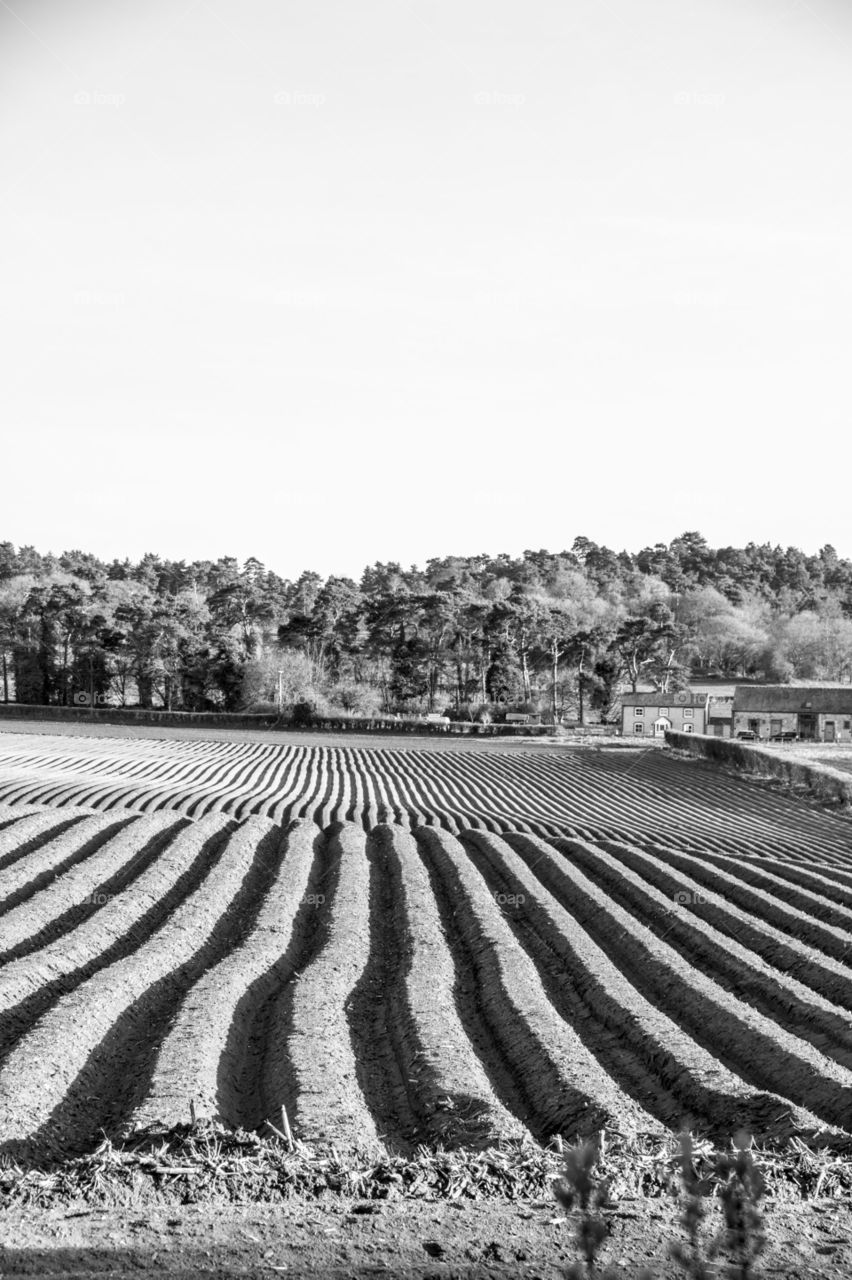 North Downs. North Downs